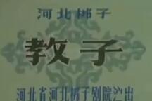 河北梆子《教子》 路翠阁