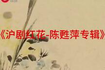 沪剧《沪剧红花-陈甦萍专辑》专辑 陈甦萍