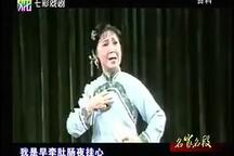 沪剧《卖红菱》 杨飞飞 赵春芳