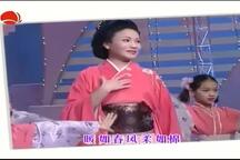 沪剧《沪剧五朵金花-陈甦萍》 陈甦萍