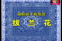 锡剧《拔兰花》 梅兰珍 王彬彬