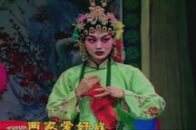 吕剧《王汉喜借年》全场 李岱江 宋娜娜 刘艳芳 徐慧娟