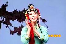 山东吕剧《姊妹易嫁》精选唱段集锦 高清加长版