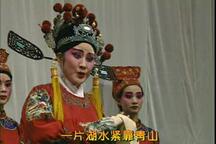 河南曲剧《河南曲剧-祭塔》 张新芳 刘爱云