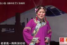 曲剧《桑林收子》戏曲小品 张晓英
