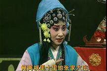 河南曲剧《花庭会》02 张晓凤 孔愫荭