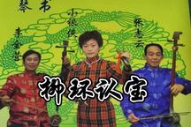 琴书《柳环认宝》 张桂银 周银侠 李全营