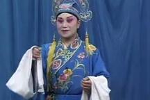 琴书《观花灯》孙秀英演唱全6部