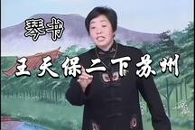 琴书《王天保二下苏州》 武秀英