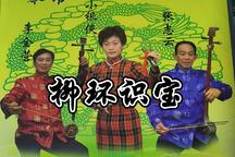 琴书《柳环识宝》第2集