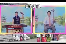 琴书《回龙传 第三部 双龙走国》 高小眼 高伟