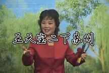 琴书《王天宝二下苏州》第3集