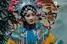 琴书扬琴戏《杨家将第九部之杨怀玉下山》整本全场 丁舞 王道兰