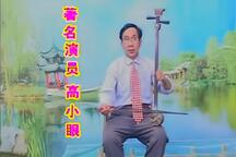 琴书《回龙传之王华登基》第6集 高小眼