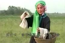 琴书,扬琴戏《王三姐住寒窑》全场 壹 王道兰