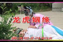 琴书《龙虎姻缘》第10集，本部完