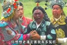 琴书《杨家将》片段