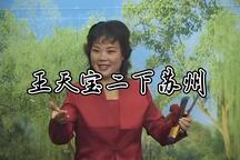 琴书《王天宝二下苏州》第2集