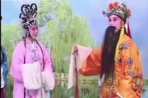 琴书《杨八姐游春》 孙秀英 苏翠云