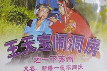 琴书《王天宝一下苏州》第3集 荒郊思乡