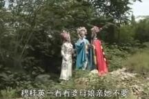 琴书《杨家将》第九部之穆桂英下山8