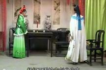 琴书《琴书十二寡妇征西》