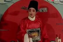 琴书,扬琴戏《江宁府》第三集 王道兰