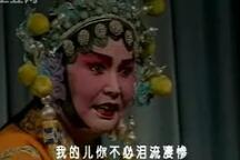蒲剧《烛影记》《骂殿》一折
