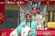山东梆子《老羊山·诉堂》 纵宛宛下载