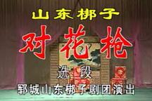 山东梆子《对花枪》 王爱霞下载