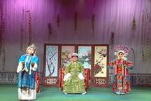 山东梆子《樊梨花》下载