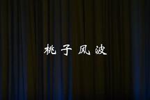 婺剧《桃子风波》小戏