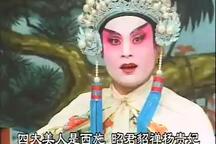 雷剧 半岁公主招驸马全3部