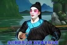 雷剧替皇帝3部 经典地方戏曲全本