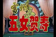 雷剧五女贺寿全本3部在线观看下载