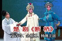 楚剧《白蛇传·断桥》片段 夏青玲 余维刚 杨琳